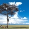 Rekero Maasai Mara, Asilia Lodges and Camps, JorAfrica